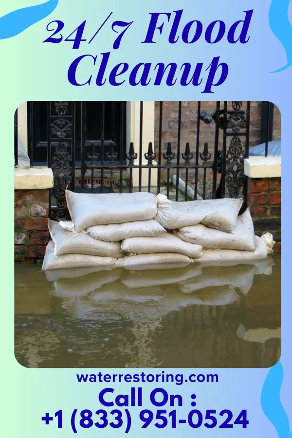 24/7 Flood Cleanup in Irwin, IL