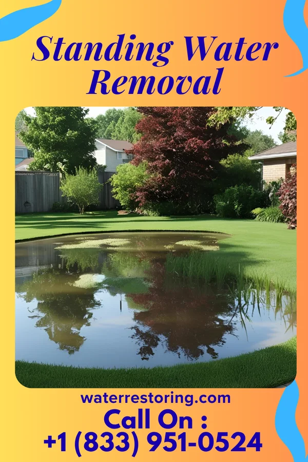 Standing Water Removal in Irwin, IL